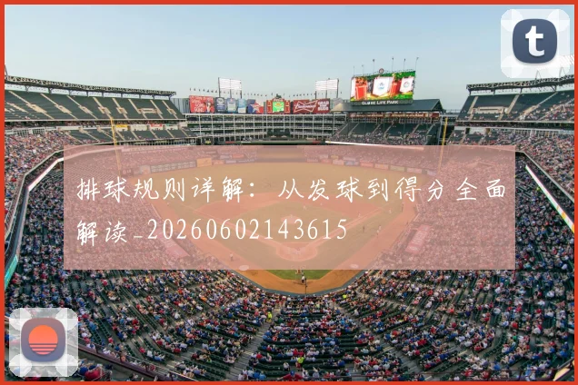 排球规则详解：从发球到得分全面解读_20260602143615