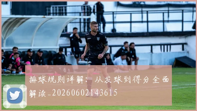 排球规则详解：从发球到得分全面解读_20260602143615